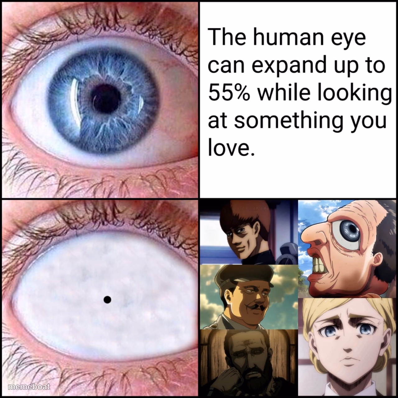 Attack on Titan - meme generator image preview