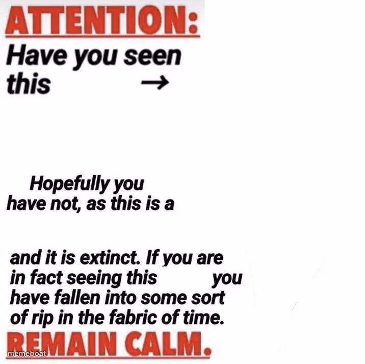 Attention: Have You Seen This [name]? - meme generator image preview