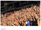 Crowd Raising Hands