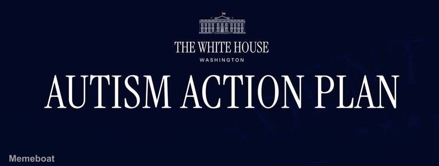 Autism Action Plan - meme generator image preview