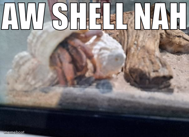 AW SHELL NAH - meme generator image preview