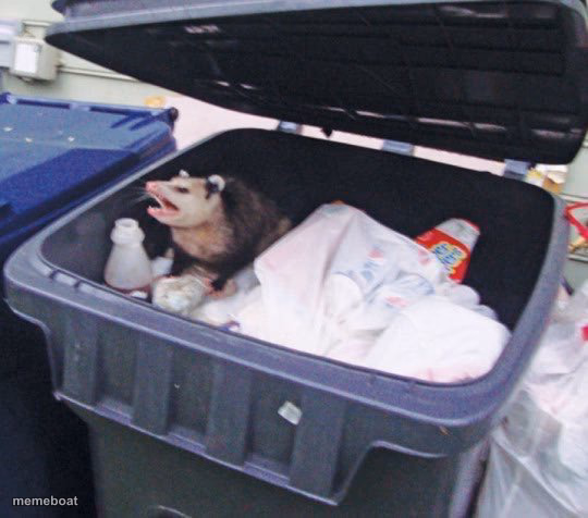 Awesome Opossum - meme generator image preview