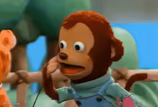 Awkward Monkey