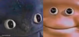 Awkward Realization Two Faces