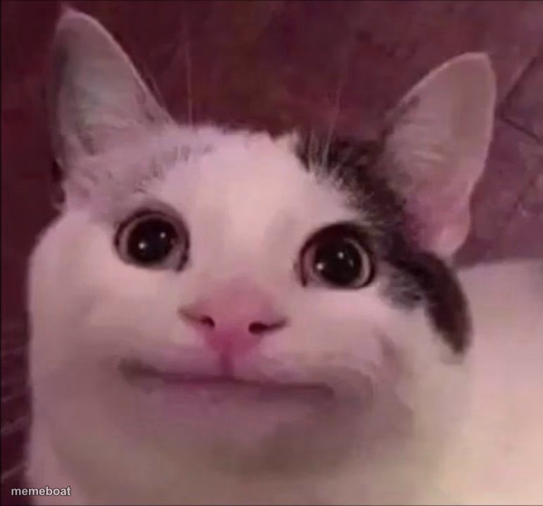 Awkward Smile Cat - meme generator image preview