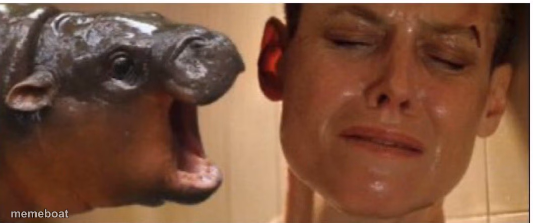 Baby hippo Alien 2 - meme generator image preview