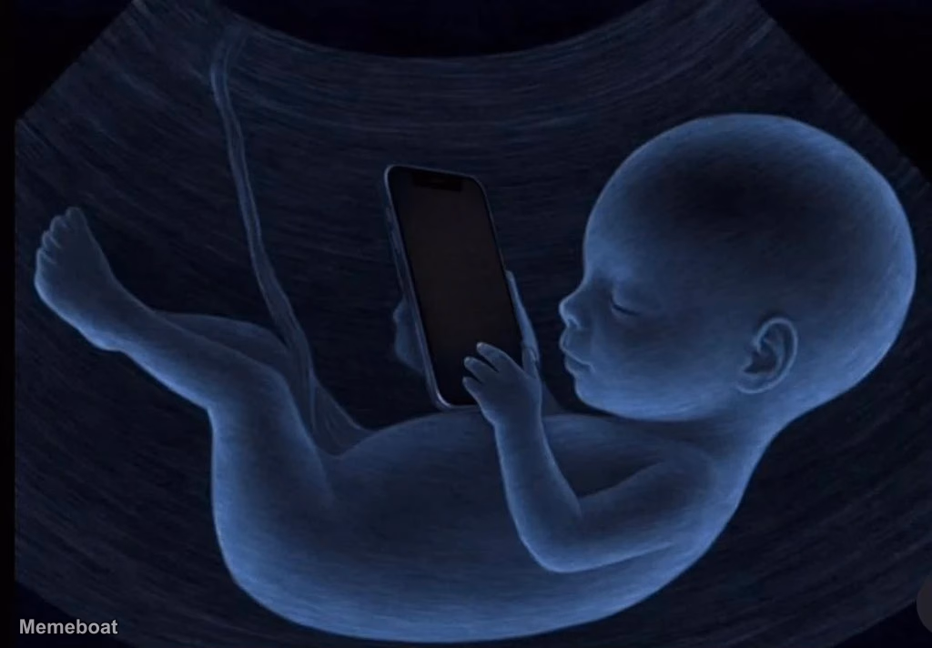 Baby Holding a Phone Inside the Fetus - meme generator image preview