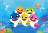 Baby shark gang