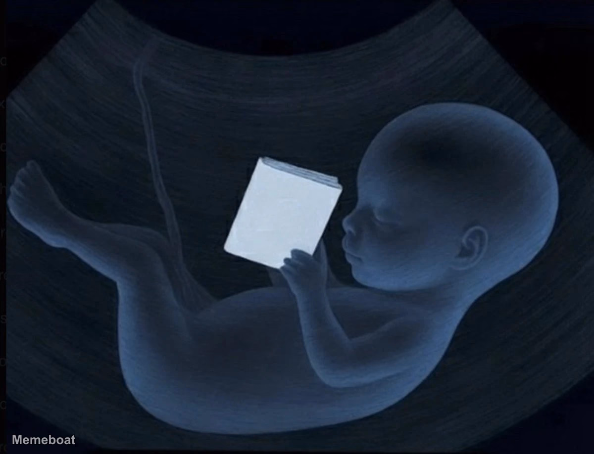 Baby/Fetus Reading a Book - meme generator image preview