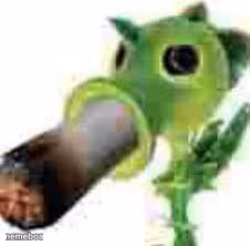 Badass peashooter smocking that pack - meme generator image preview
