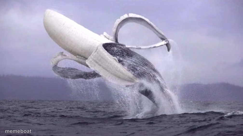 banana whale - meme generator image preview