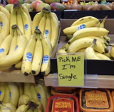 Pick Me I'm Single Bananas