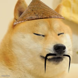 Confucius Doge