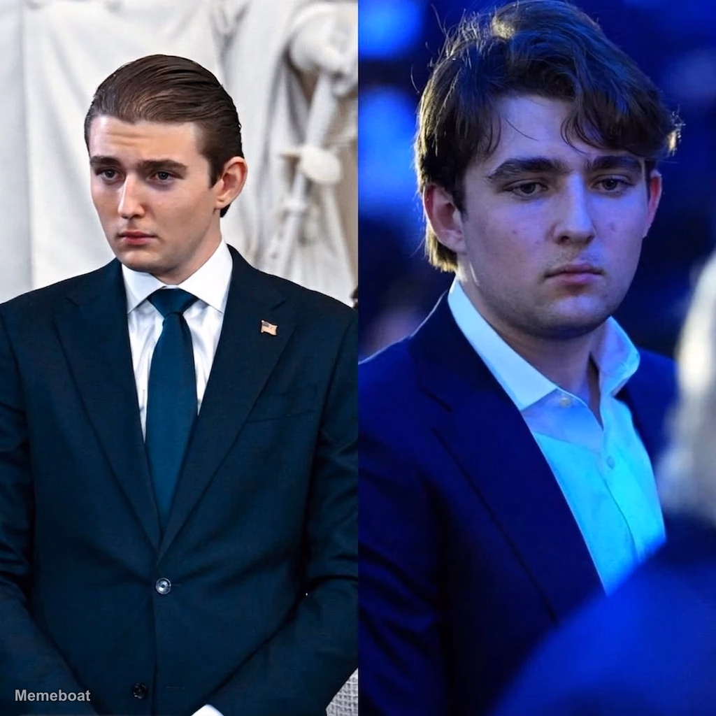 Barron Trump Before vs After - meme generator image preview