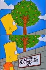 Bart Simpson lemon tree