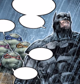 Batman Meets Ninja Turtles