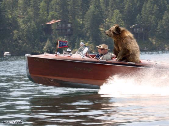 Bear on a boat - meme generator image preview