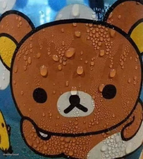Bear sweating nervously - meme generator image preview