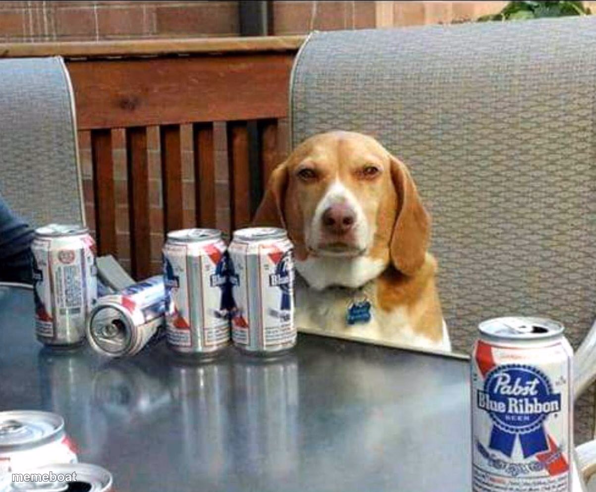 beer dog - meme generator image preview