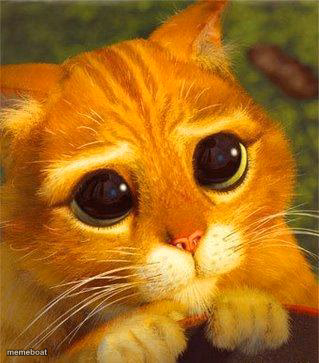 Puss in Boots Begging - meme generator image preview