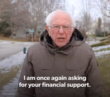 Bernie Financial Support