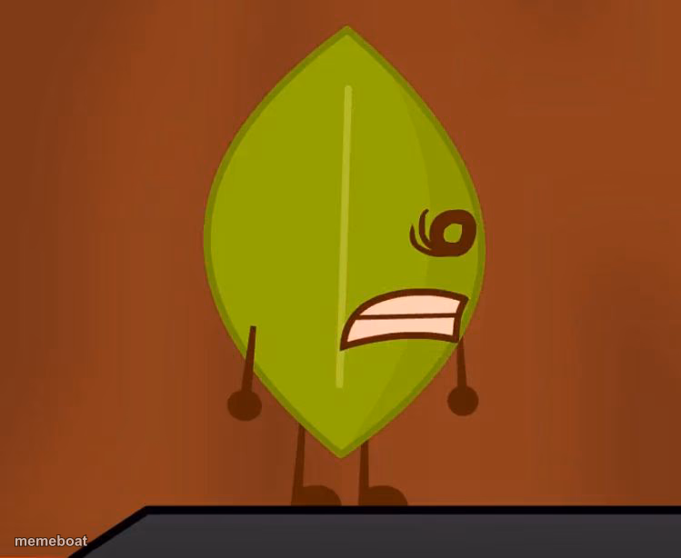 BFDI "Wat" Face - meme generator image preview