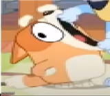 bingo shouting