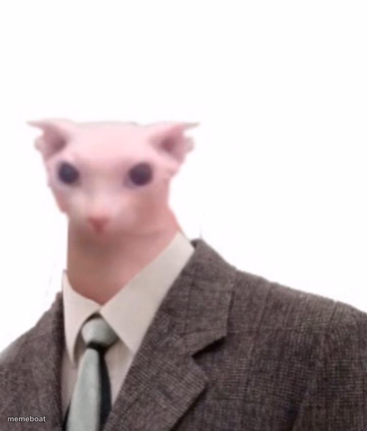 bingus - meme generator image preview