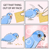 Bird Cracker