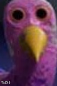 bird up face - meme generator image preview