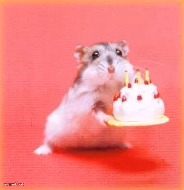 birthday hamster - meme generator image preview