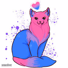 Bisexual cat - meme generator image preview