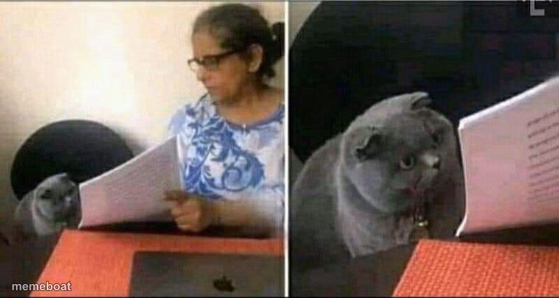 Black Cat and Teacher - meme generator image preview