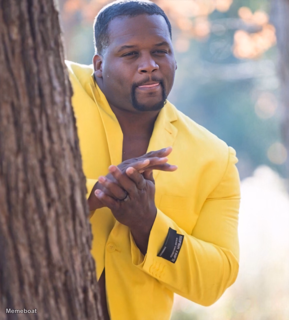Man Hiding Behind Tree - meme generator image preview