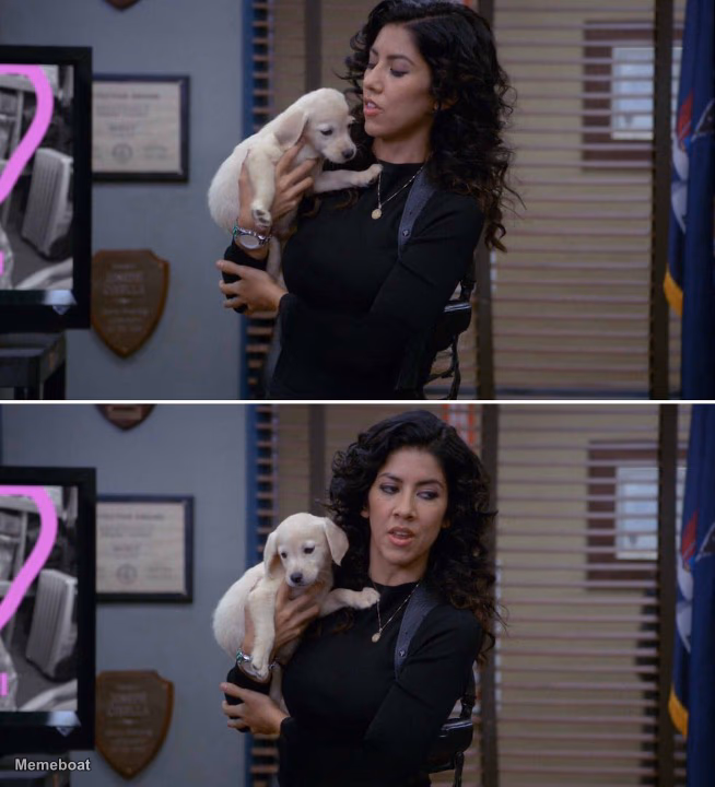 Rosa Diaz With Puppy - meme generator image preview