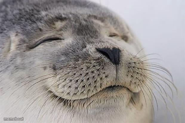Content Seal - meme generator image preview