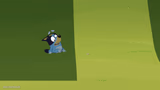 Bluey Sitting Alone