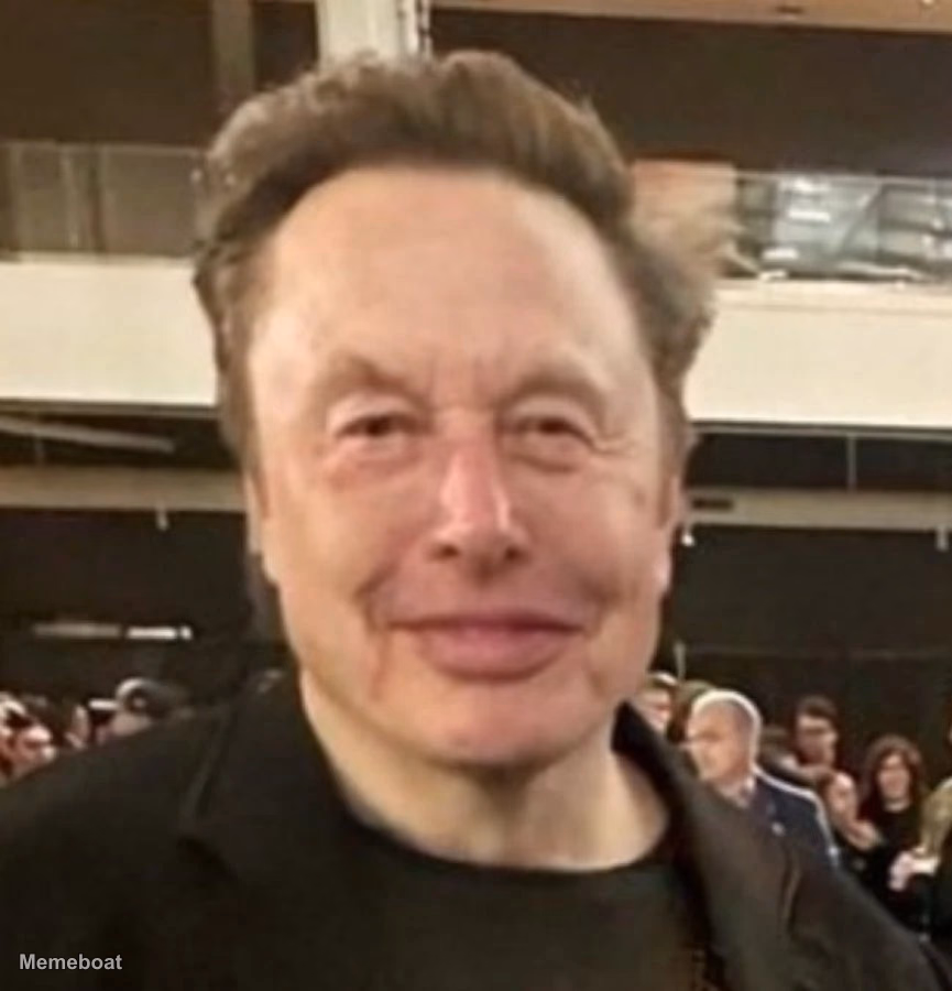 Bogged Elon Musk - meme generator image preview