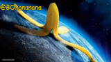 Giant Banana Orbiting Earth
