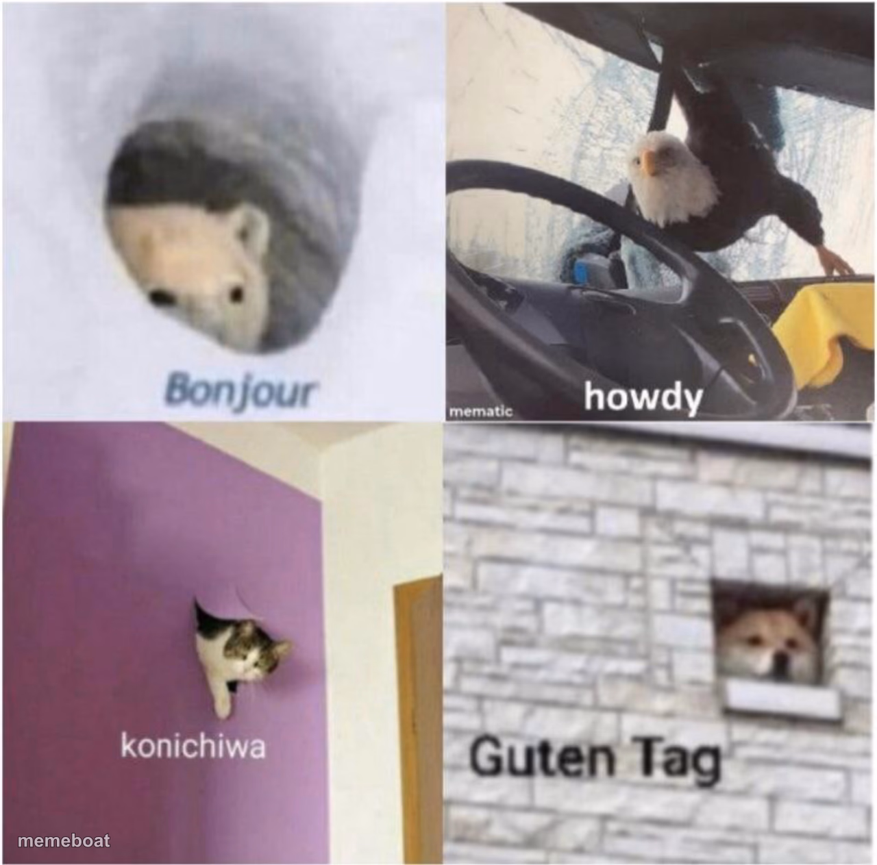 Bonjour guten tag - meme generator image preview