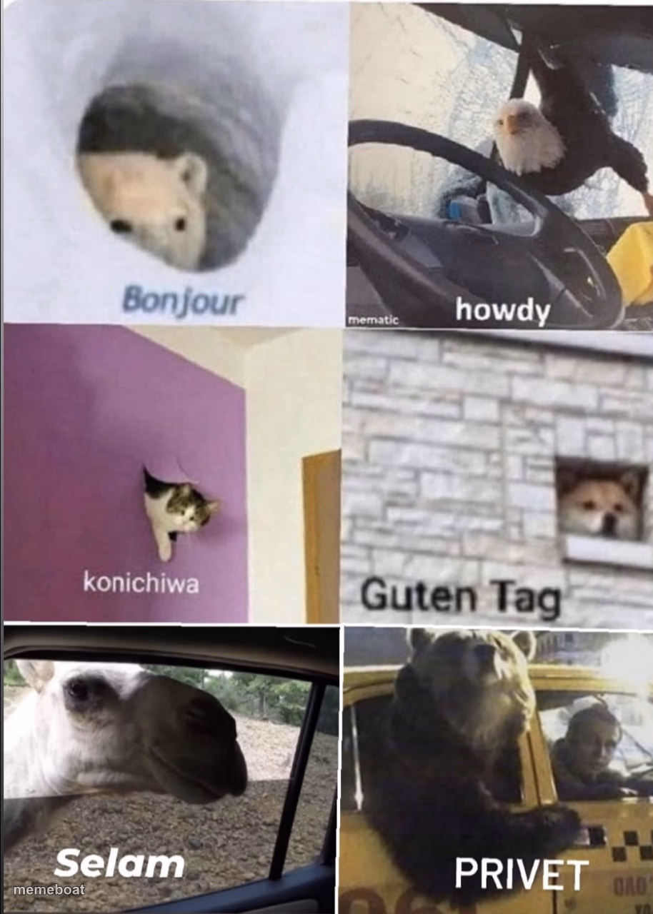 Bonjour howdy konichiwa guten tag Selam privet - meme generator image preview