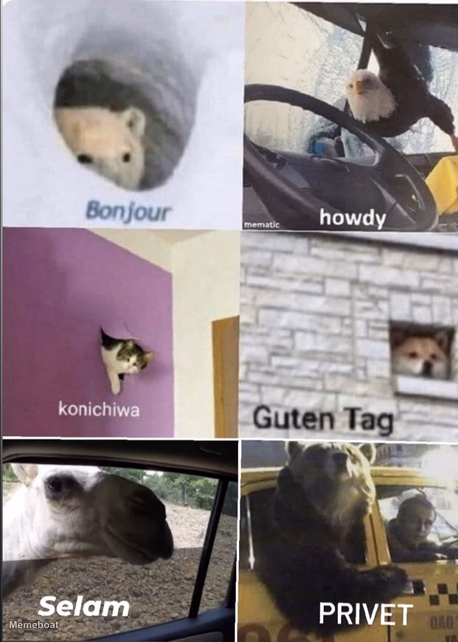 Bonjour howdy konichiwa guten tag Selam privet - meme generator image preview
