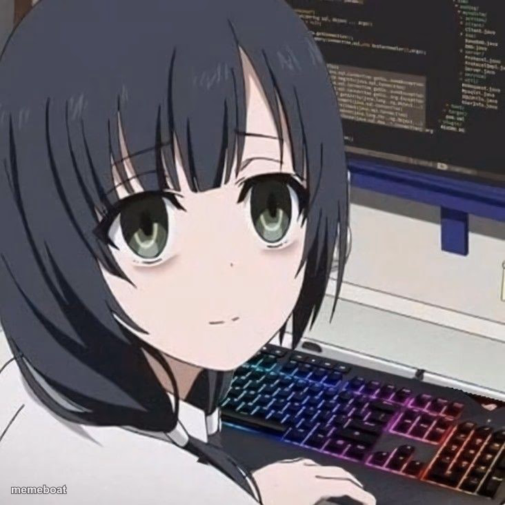 Born to watch anime, forced to write code to survive. - meme generator image preview