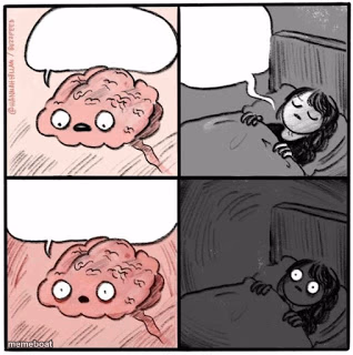 Brain Before Sleep - meme generator image preview