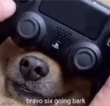 Bravo six going bark