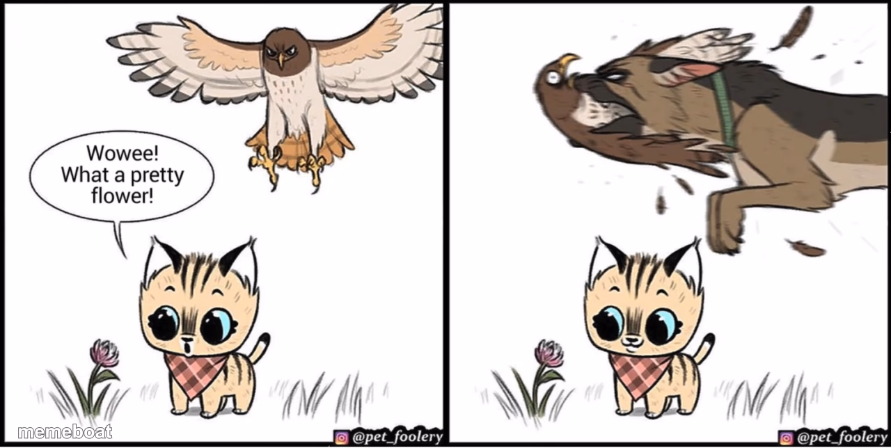 Brutus saving Pixie from an eagle - meme generator image preview