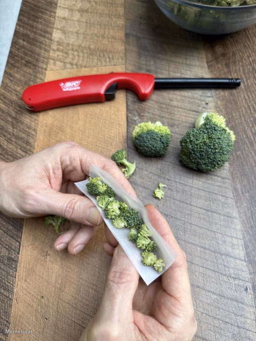 Bryan Johnson Broccoli Joint - meme generator image preview