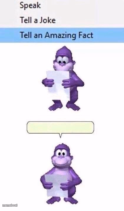 Buddy Fact - meme generator image preview