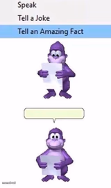 Buddy Amazing Fact