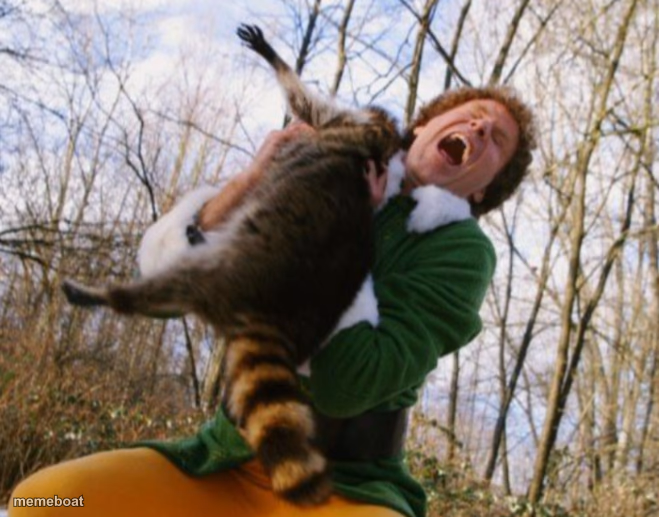 Buddy the elf and raccoon - meme generator image preview